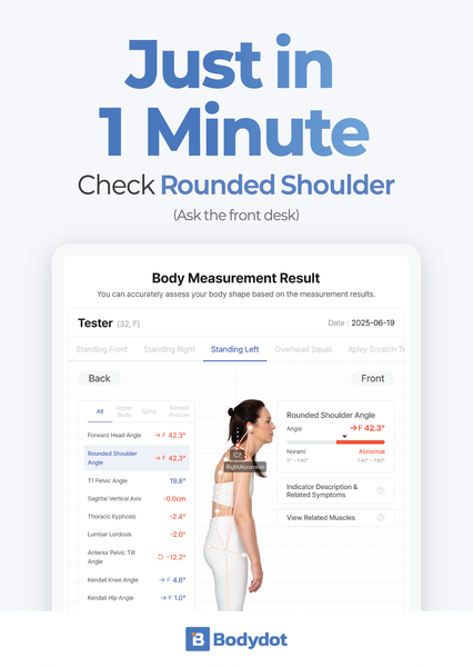 Rounded Shoulder